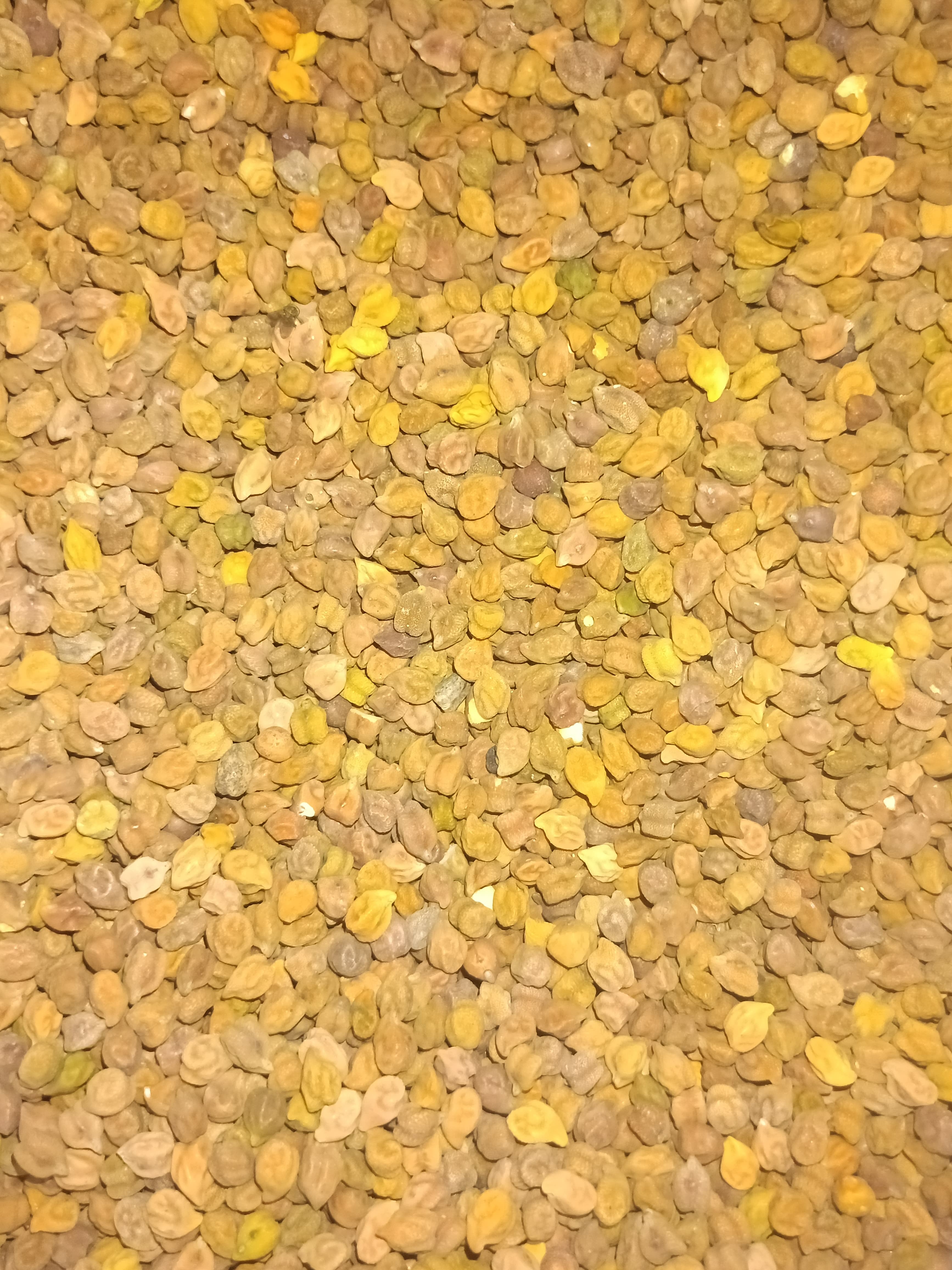 Desi chana
